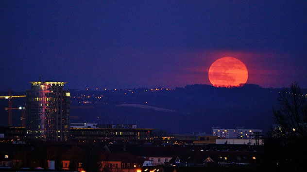 Mondaufgang über Dresden