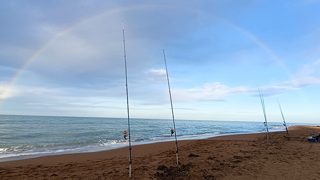 En otras muchas partes de España, la lluvia no ha sido la gran protagonista, pero sí el viento intenso y los cielos cubiertos. En otras regiones, en cambio, el sol ha vuelto a brillar tras jornadas de lluvias, ofreciendo un respiro.