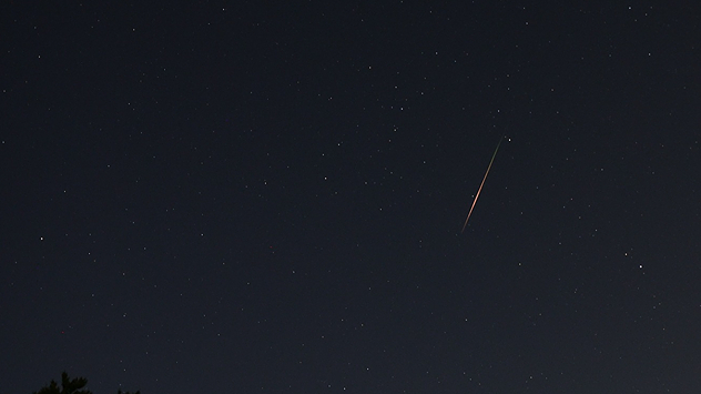 Dark night sky with lots of stars. A bright shooting star shoots diagonally from the top right to the bottom left.