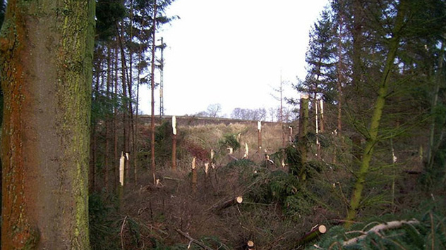 Die Folgen von KYRILL im Weserbergland.