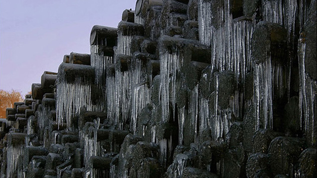 Durch die Beregnung der Stämme versuchen die Forstämter, der Ausbreitung des Borkenkäfers entgegenzuwirken.