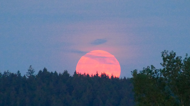 © Hardy Schulz Vollmond Supermond