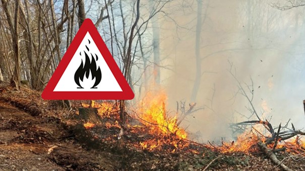 An einem Wegesrand im Wald brennt es. Die Bäume und Sträucher tragen noch keine Blätter. Darübergelegt ist ein Feuerwarnsymbol.
