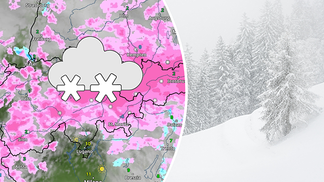 Vejrradar over Alperne med kraftigt snefald kombineret med foto af snedækket skov og vinterlandskab.