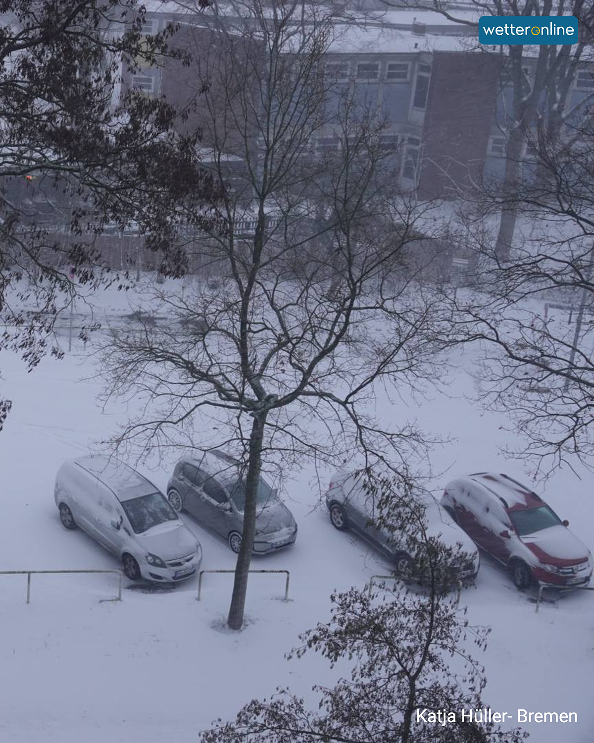 Blick auf verschneite Autos und Bäume bei anhaltendem Schneefall.