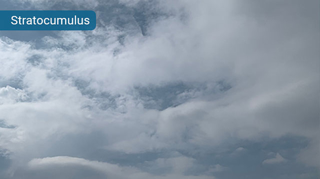 Wenn Stratuswolken Lücken bekommen, dann kommt Stratocumulus heraus. Diese Wolken erscheinen wie sehr große Wattebäusche.