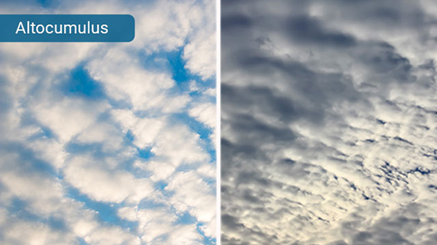 Im Stockwerk unter den Cirruswolken liegt der Altocumulus. 