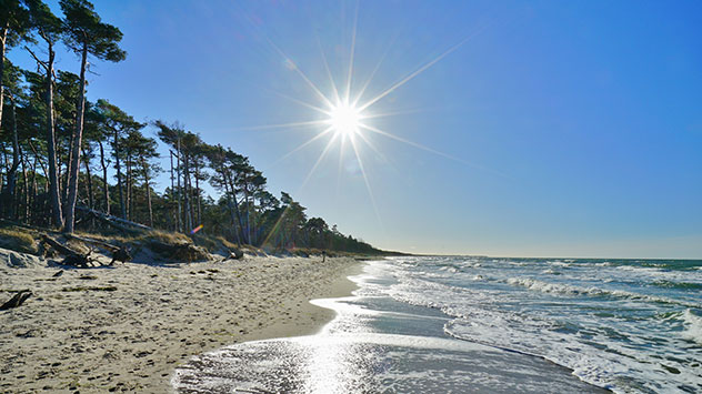 Darß mit Sonne