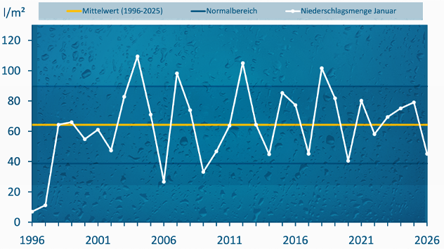 Liniendiagramm zeigt die Niederschlagsmenge im Januar von 1996 bis 2026 im Vergleich zu Mittelwert und Normalbereich.
