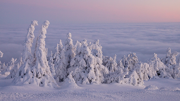 winter