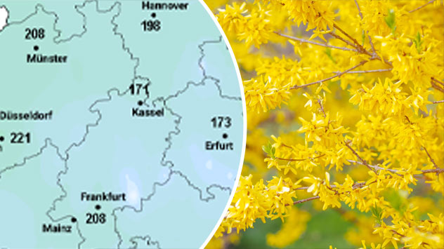 Grünlandtemperatur