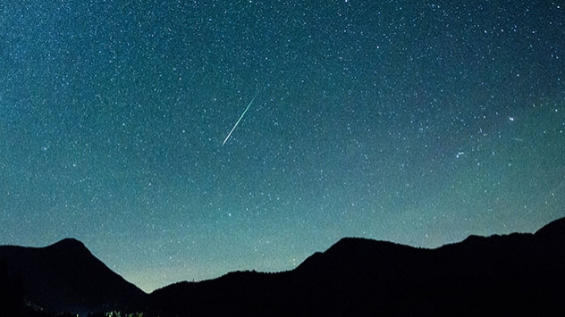 Das Maximum der Perseiden