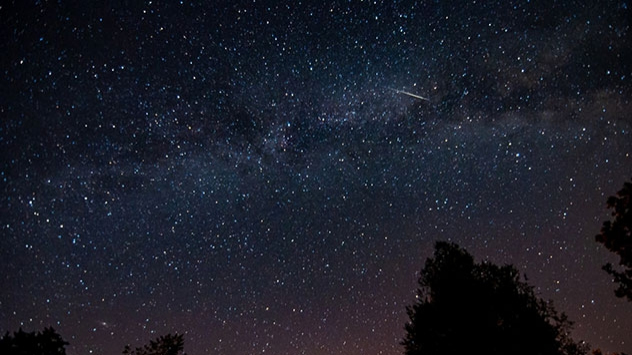 Das Maximum der Perseiden