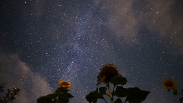 Das Maximum der Perseiden