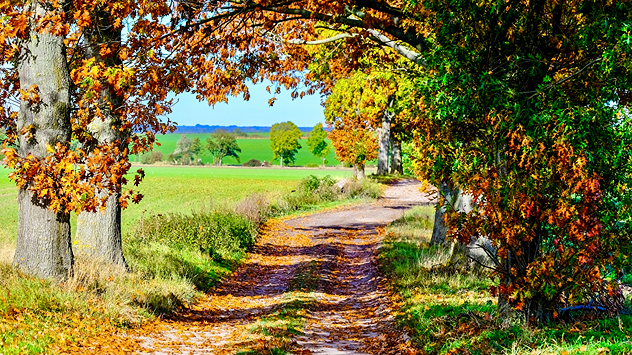 jerichower-land - © Gabriele Klein via Uploader Ein Wanderweg im Jerichower Land