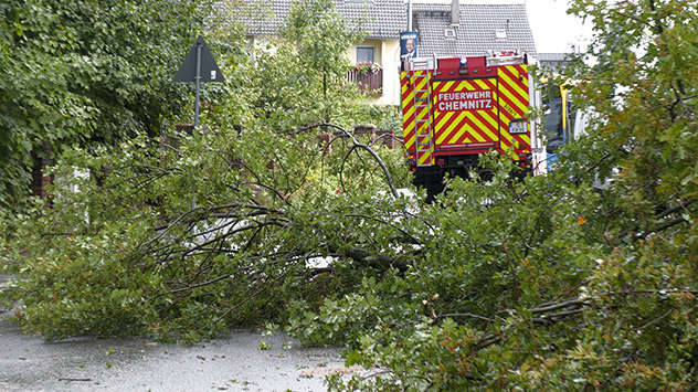 Ein umgestürzter Baum blockiert in Chemnitz eine Straße.