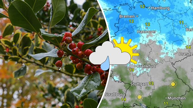 Vor allem im Norden wird es nächste Woche öfter mal nass.