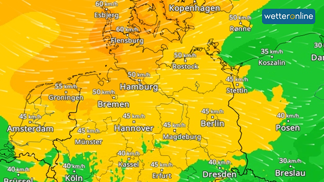 WindRadar mit einer Karte Norddeutschlands. Dargestellt sind verbreitet Windgeschwindigkeiten von 45 bis 60 km/h, besonders an den Küsten weht es kräftig.