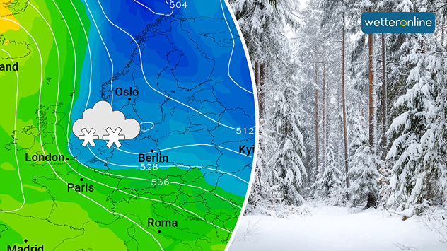 Links Wetterkarte mit Schneeflocken, rechts verschneiter Wald