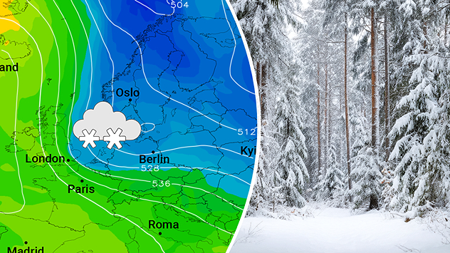 Wetterkarte mit Kaltluft über Nordeuropa neben verschneitem Wald.