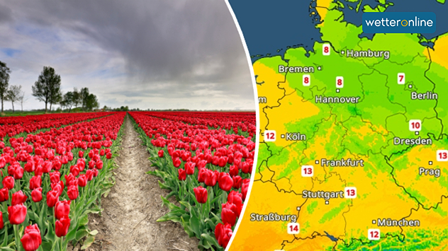Ein paar wechselhafte Tage mit Schauern und Regen stehen uns bevor. Zum Wochenstart wird es dazu spürbar kälter, wie das TemperaturRadar zeigt.