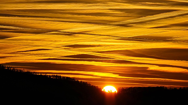 © Martina Stedtnitz