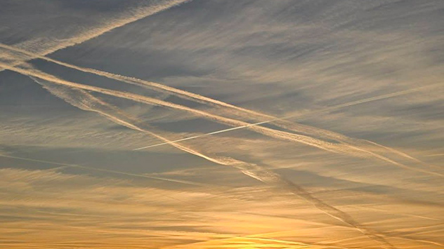 © Martina Stedtnitz