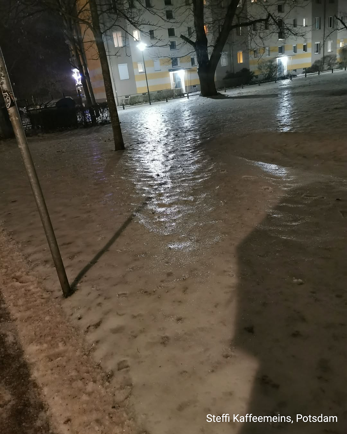 Vereister Park in Potsdam