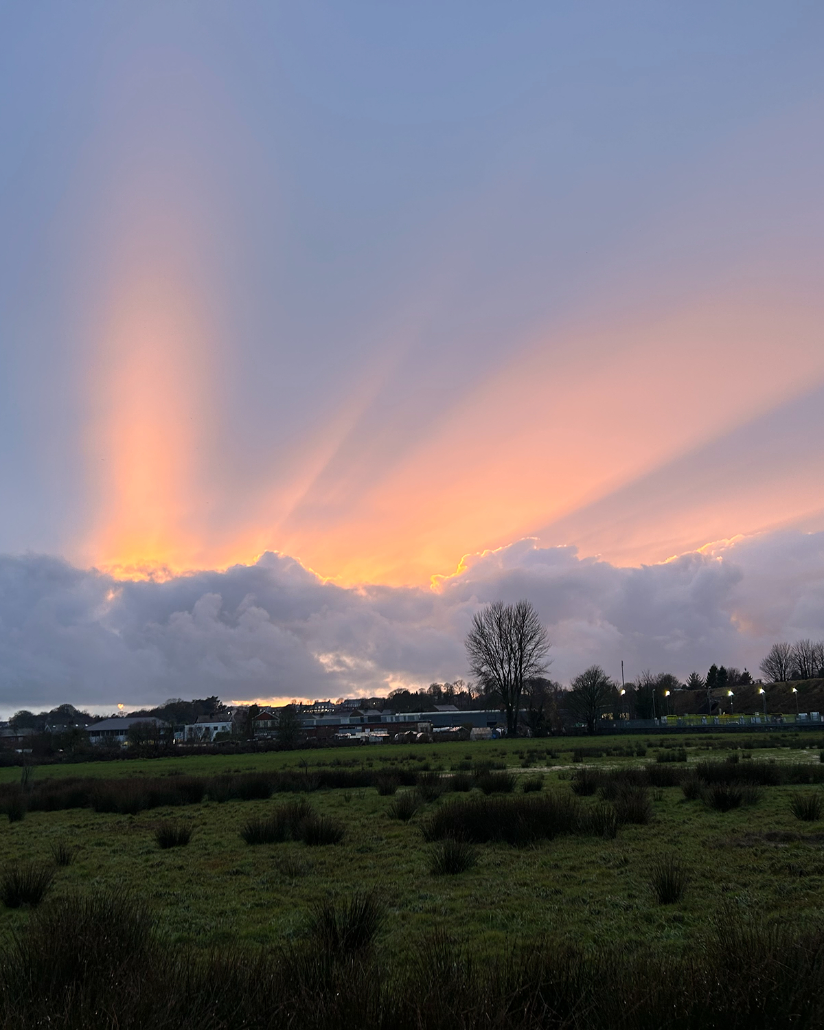 Dramatic sunset with bright crepuscular rays streaming upward from behind thick clouds above a grassy field and distant houses.