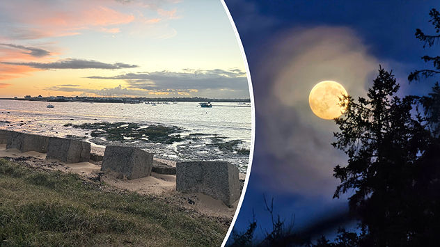 Split image showing a low-tide estuary at sunset on the left with concrete blocks, boats, and pastel sky, and a bright full moon on the right glowing through thin clouds above dark tree silhouettes, divided by a curved white line.