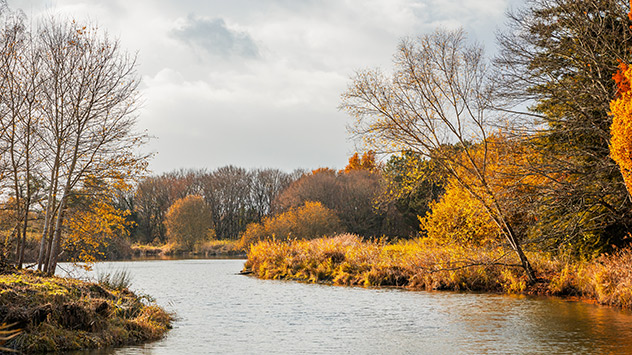 Ambiance nuageuse d'automne