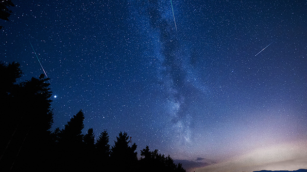 Ein klarer Nachthimmel voller Sterne und der sichtbaren Milchstraße erstreckt sich über einer dunklen Baumlinie. Mehrere Meteorschauer ziehen als helle Lichtspuren durch den Himmel. Am Horizont zeigt sich ein sanfter, heller Schimmer.