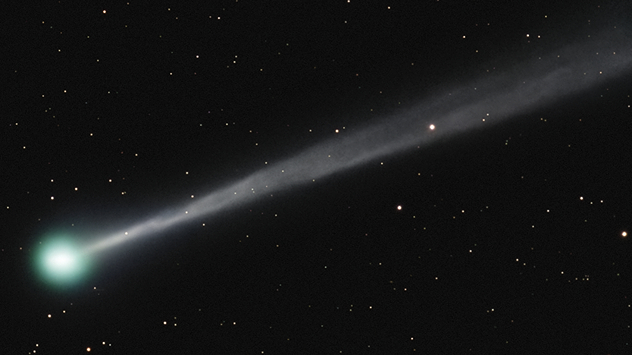 Teleskopaufnahme eines hellen Kometen mit langem Schweif vor dunklem, sternenübersätem Himmel am frühen Morgen.