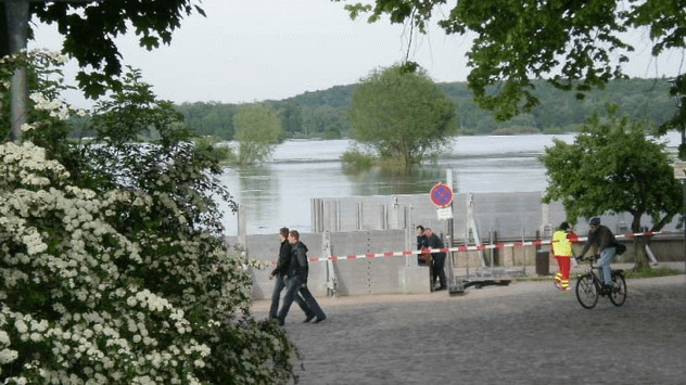 Hochwasser an der Oder