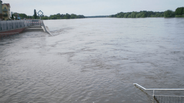 Hochwasser an der Oder