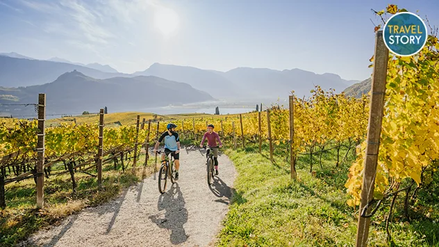 Radler unterwegs zwischen herbstlich gefärbten Weinbergen.