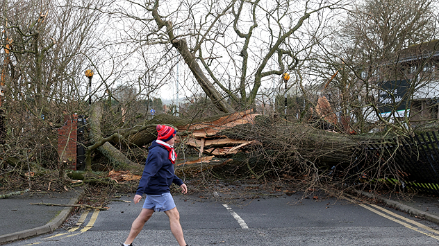 A fallen tree blocks the road in Belfast, Northern Ireland. 