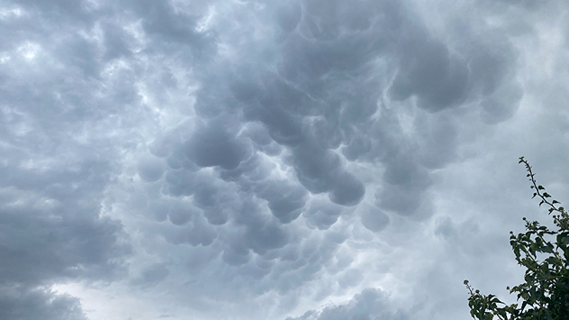 Mammatus clouds