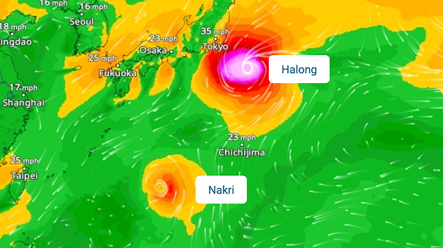 Two typhoons are moving across the western Pacific Ocean towards Japan. Halong is located east of Tokyo and Nakri is south of Tokyo. The coloured areas indicate the intensity of the storm.