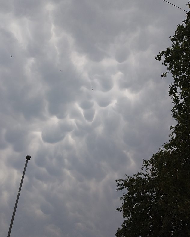 Dark gray mammatus clouds hanging beneath a thunderstorm, with rounded pouch-like formations covering the sky above trees and a streetlight, creating a dramatic severe weather scene.