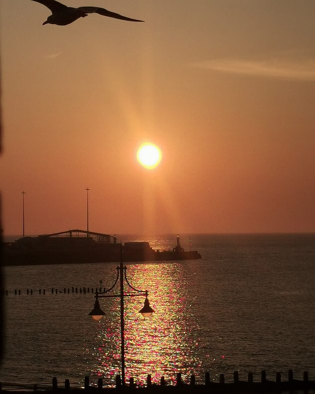 Golden sun setting over the sea beside a harbor breakwater and lighthouse, with shimmering reflections on the water, silhouetted lamp posts, and a seagull flying across the glowing evening sky.