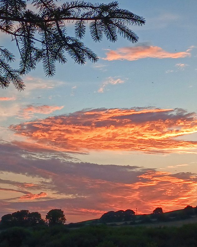 Orange and pink sunset clouds glowing above a rural landscape, with silhouetted trees, rolling hills, and evergreen branches framing the colourful evening sky.